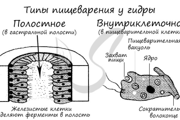 Кракен онион как зайти