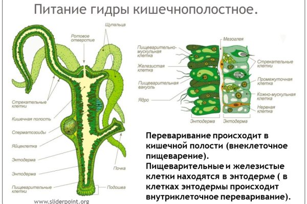 2krn at официальный