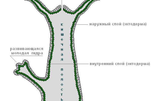 Кракен онион зеркало